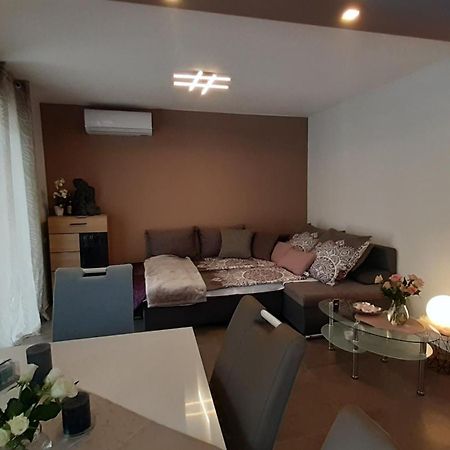 Villa Elke Maria With Overflow Pool And Hydromassage Novigrad  Room photo